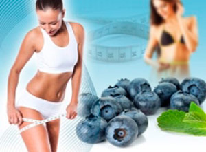 �C�mo puede ayudar el Acai Berry en p�rdida de peso?